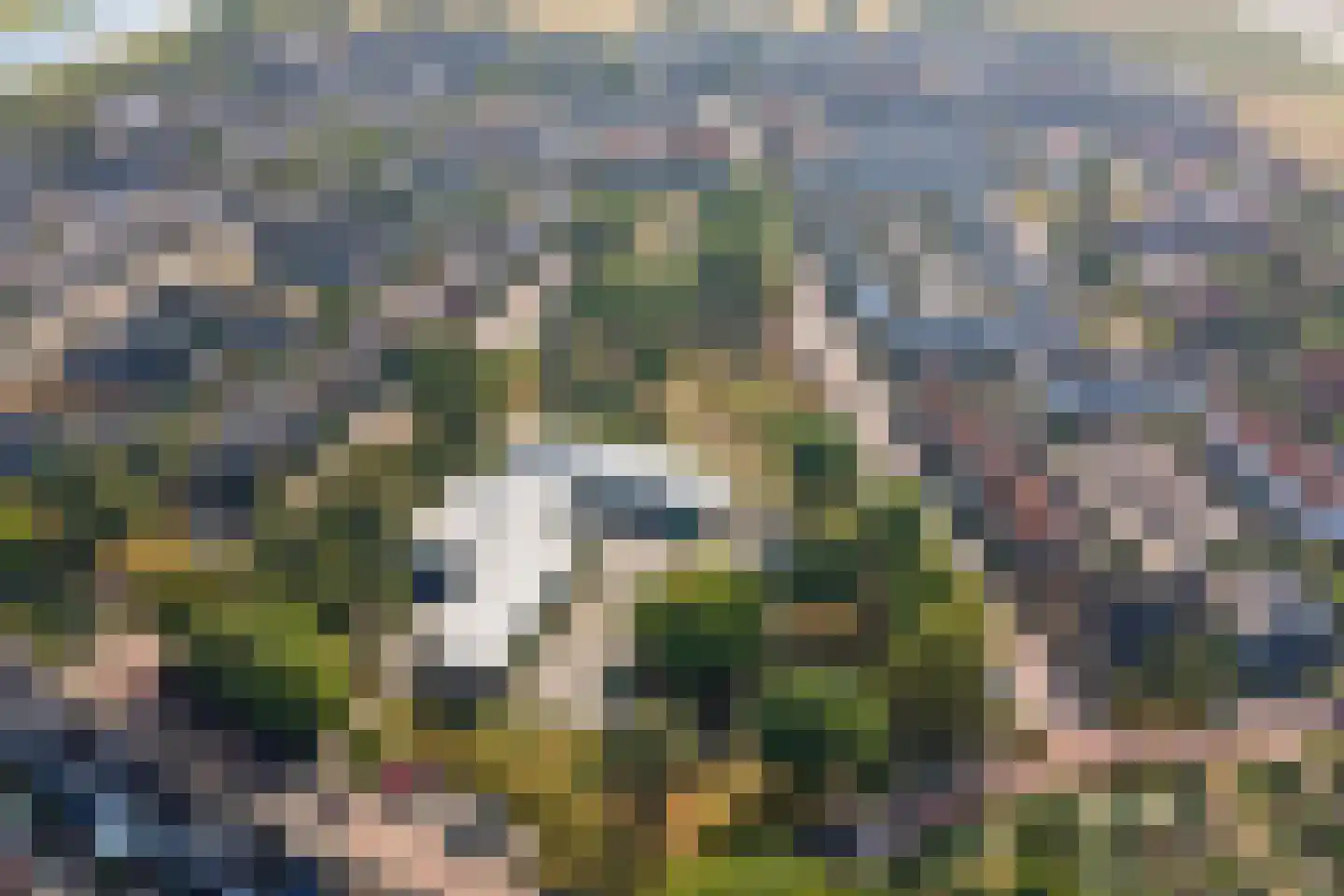 Professor Oudplein 4 Geervliet thumbnail 36