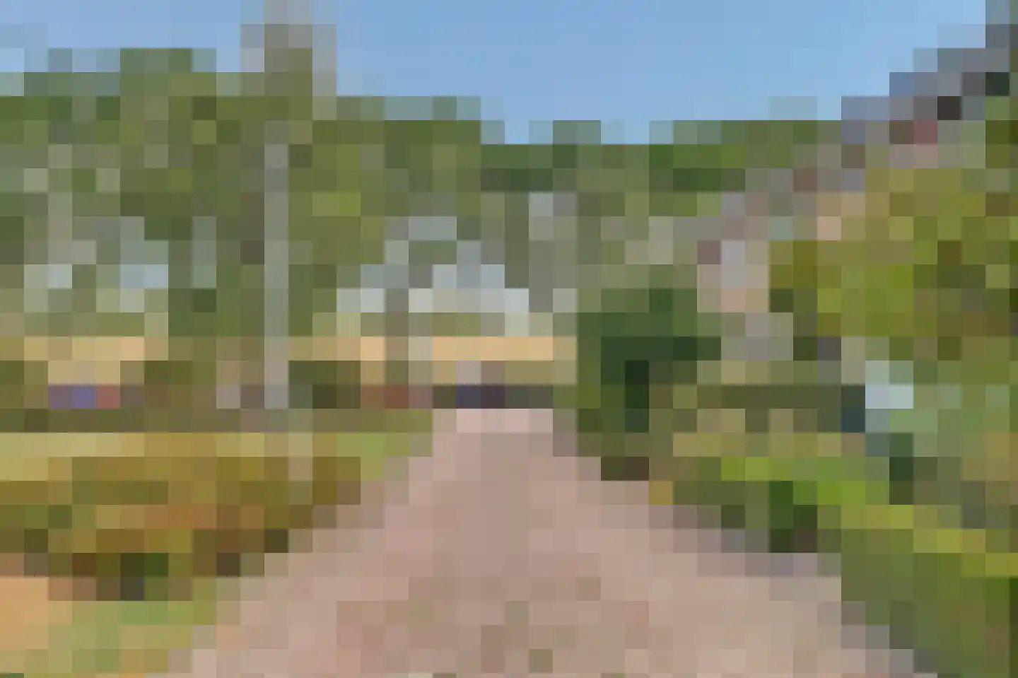 Professor Oudplein 4 Geervliet thumbnail 8