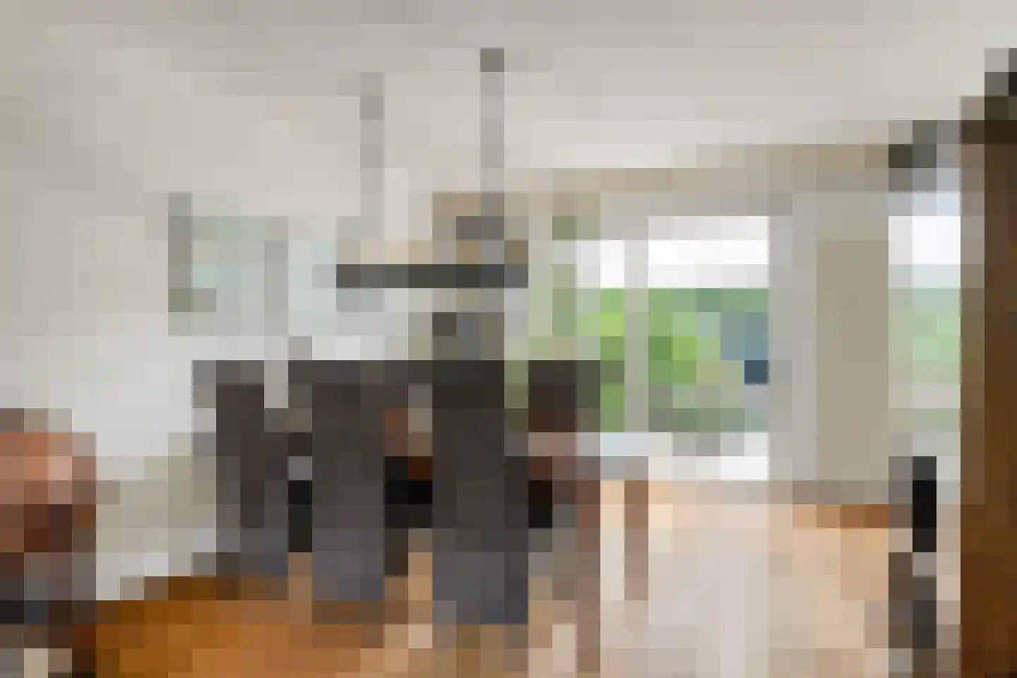 Professor Oudstraat 14 Oss thumbnail 15