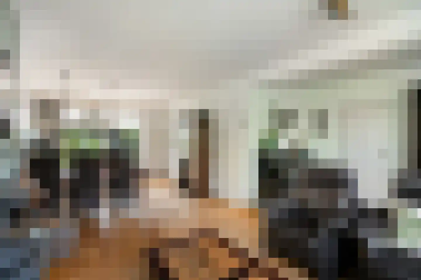 Professor Oudstraat 14 Oss thumbnail 17