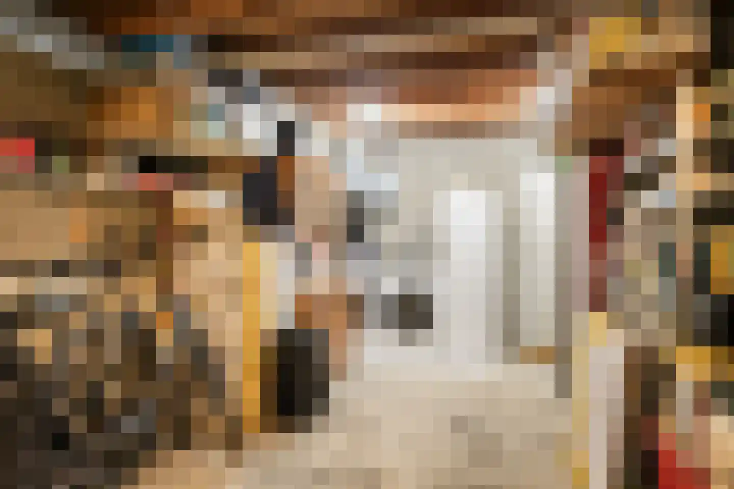 Professor Oudstraat 14 Oss thumbnail 22
