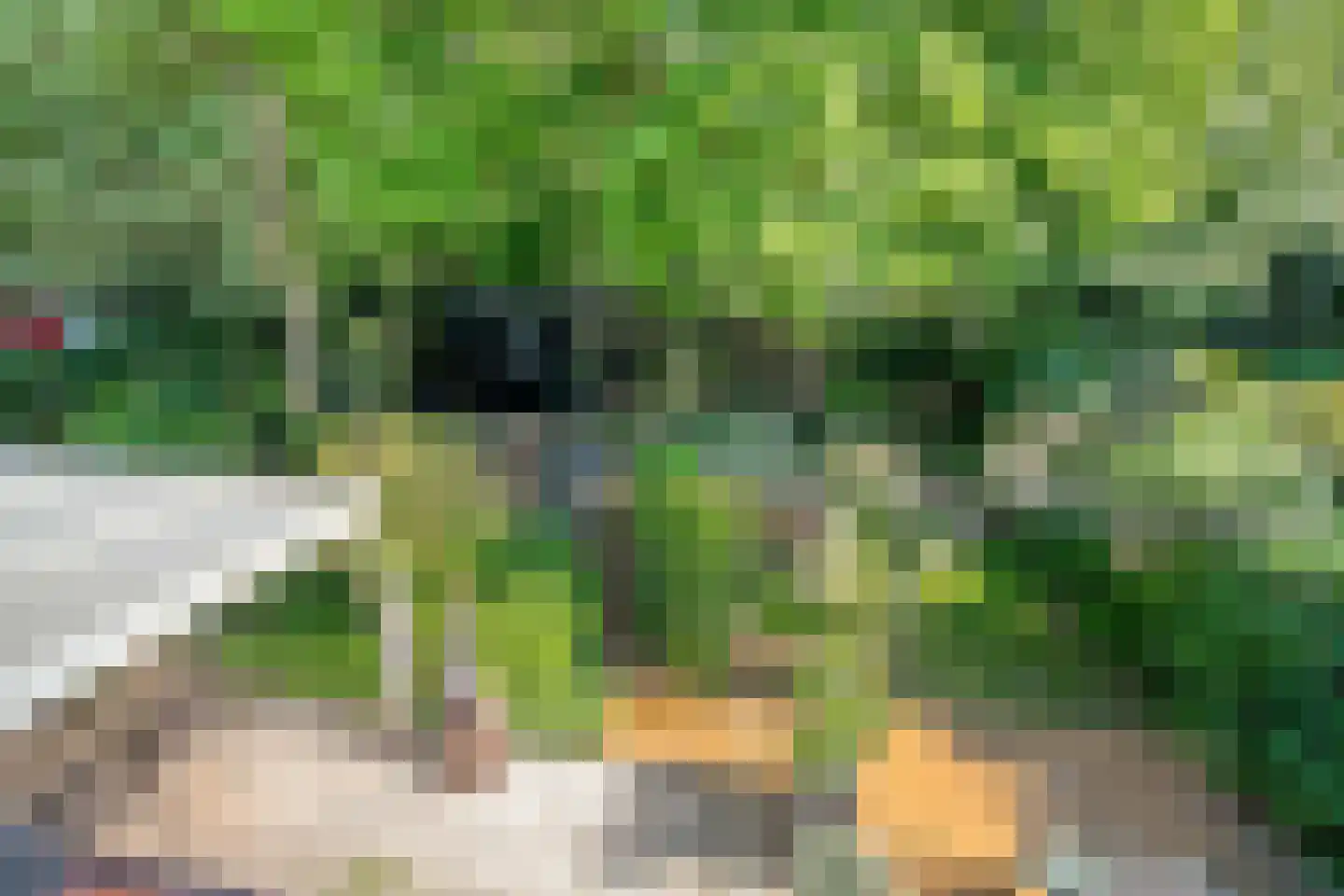 Professor Oudstraat 14 Oss thumbnail 33