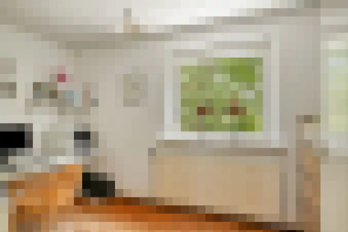 Professor Oudstraat 14 Oss thumbnail 34