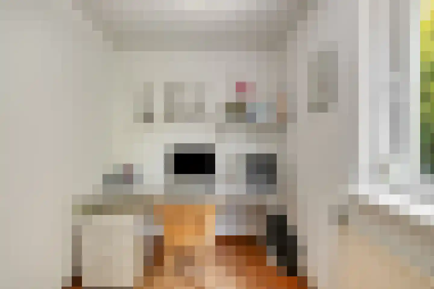 Professor Oudstraat 14 Oss thumbnail 35
