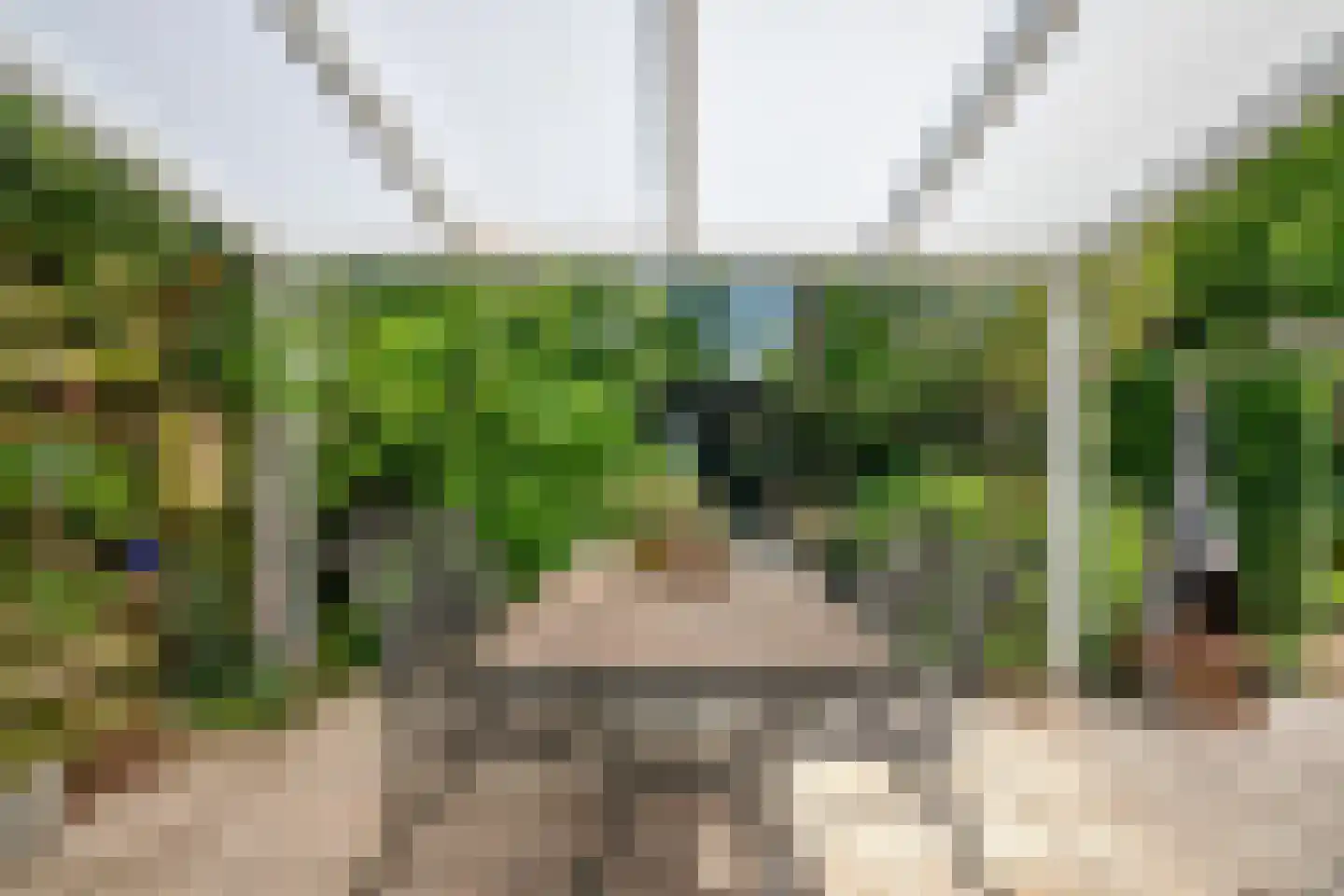 Professor Oudstraat 14 Oss thumbnail 38