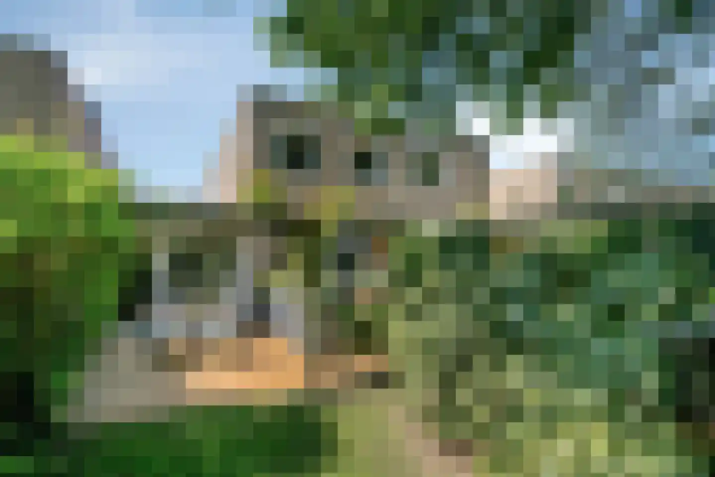 Professor Oudstraat 14 Oss thumbnail 40