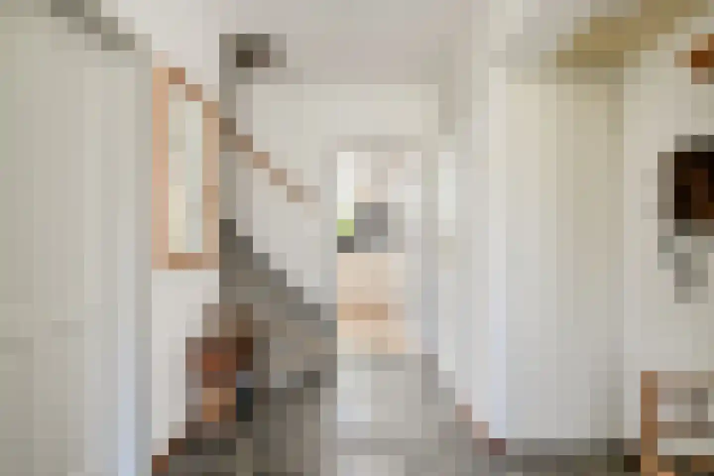 Professor Oudstraat 14 Oss thumbnail 6