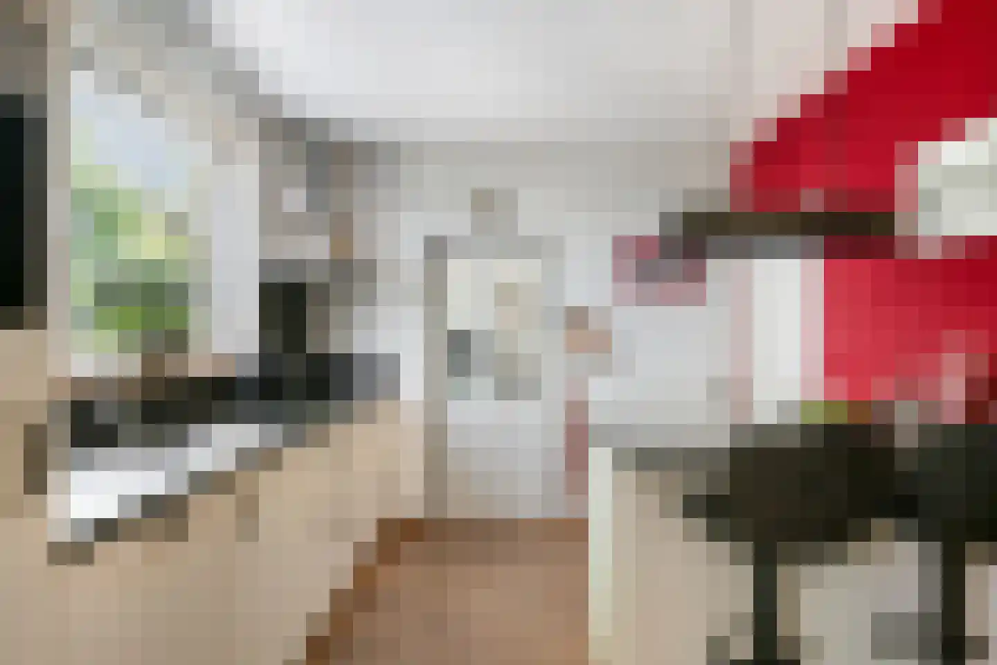 Professor Oudstraat 14 Oss thumbnail 8