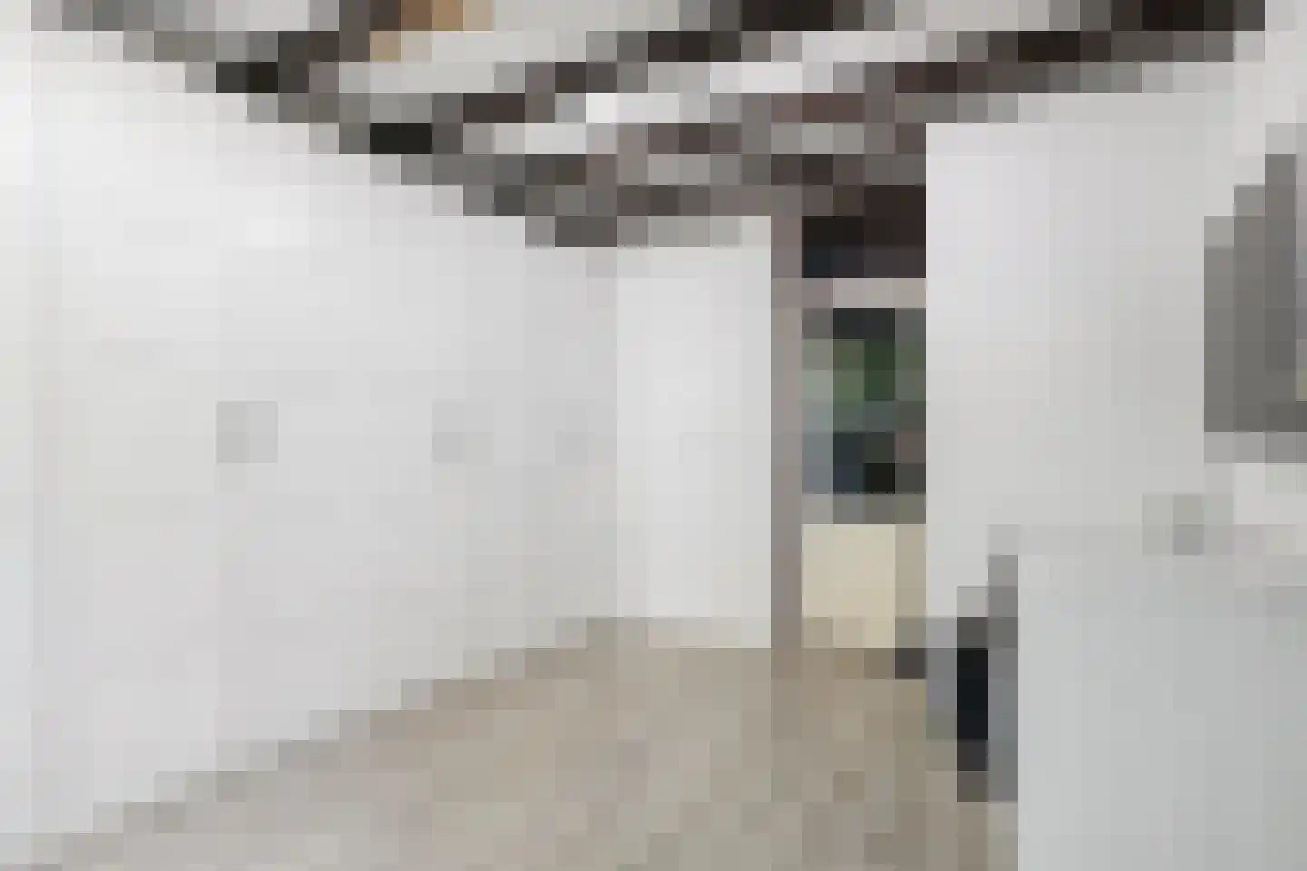 Professor Oudstraat 2 Oss thumbnail 10
