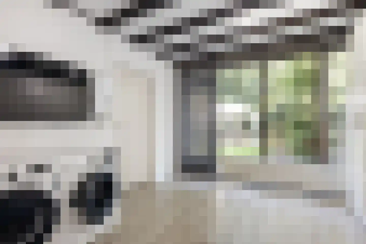 Professor Oudstraat 2 Oss thumbnail 11