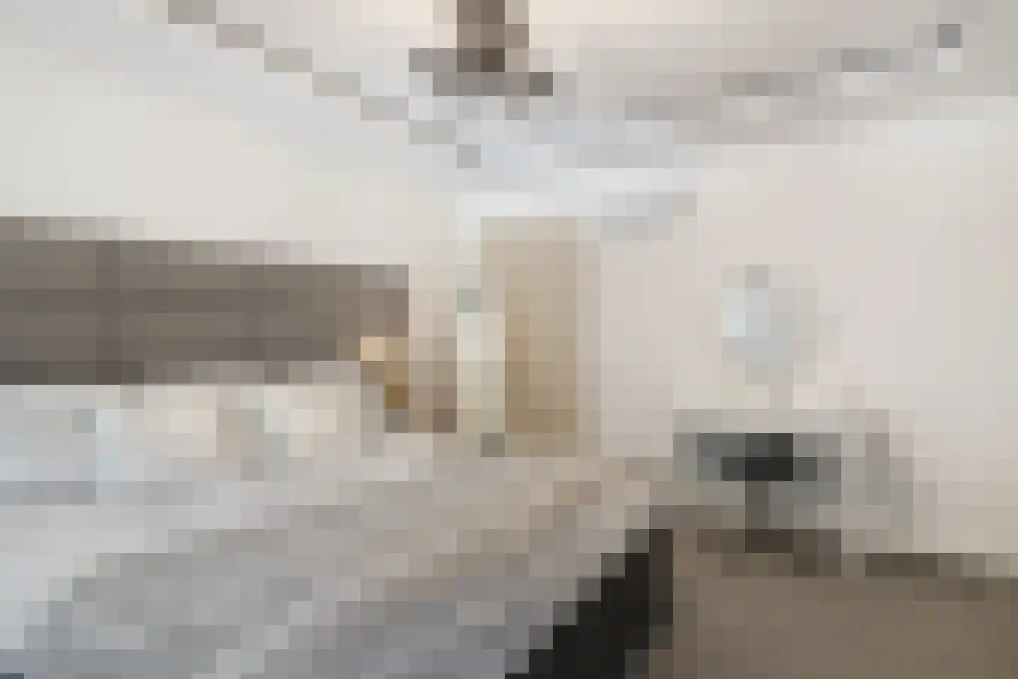 Professor Oudstraat 2 Oss thumbnail 15