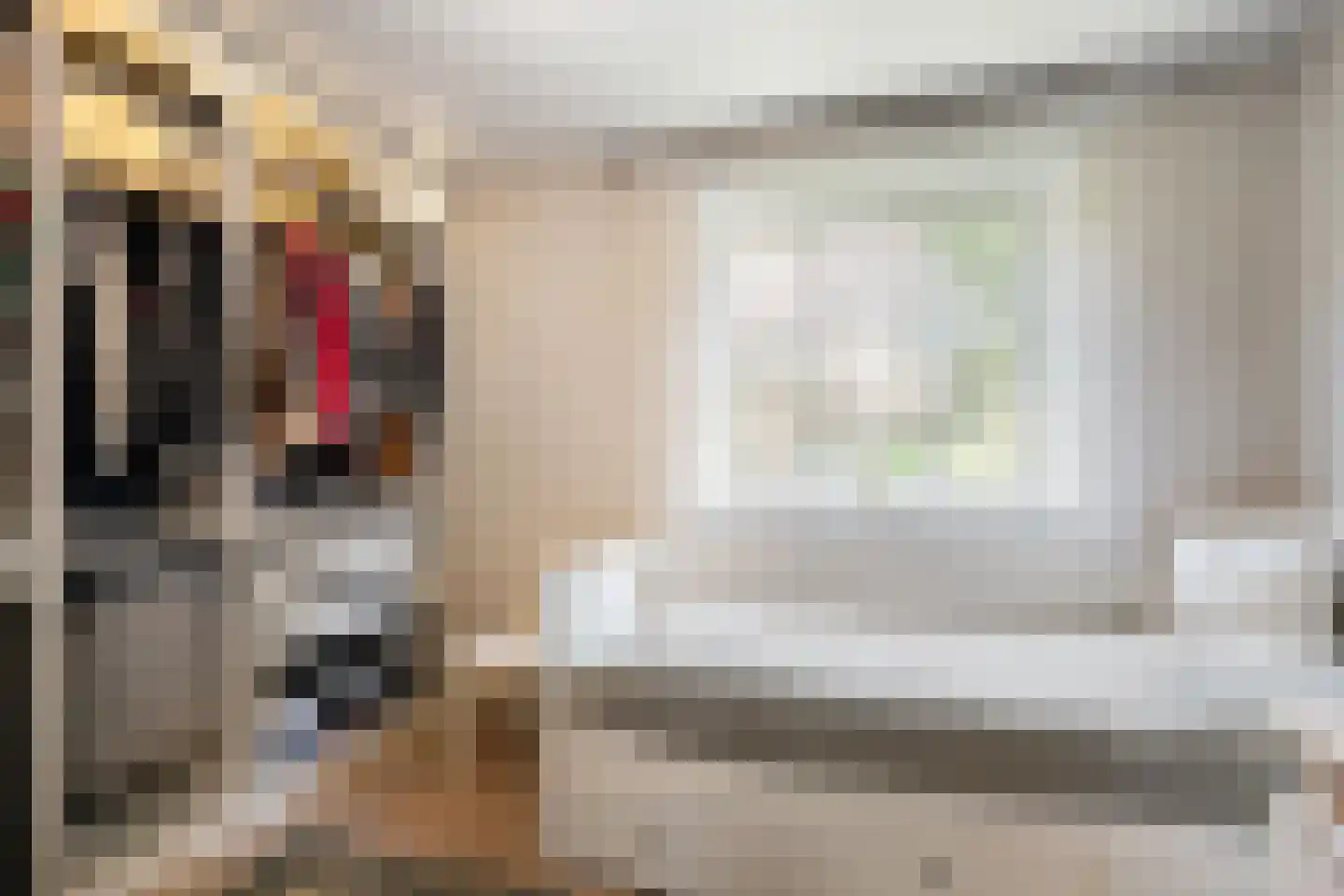 Professor Oudstraat 2 Oss thumbnail 20