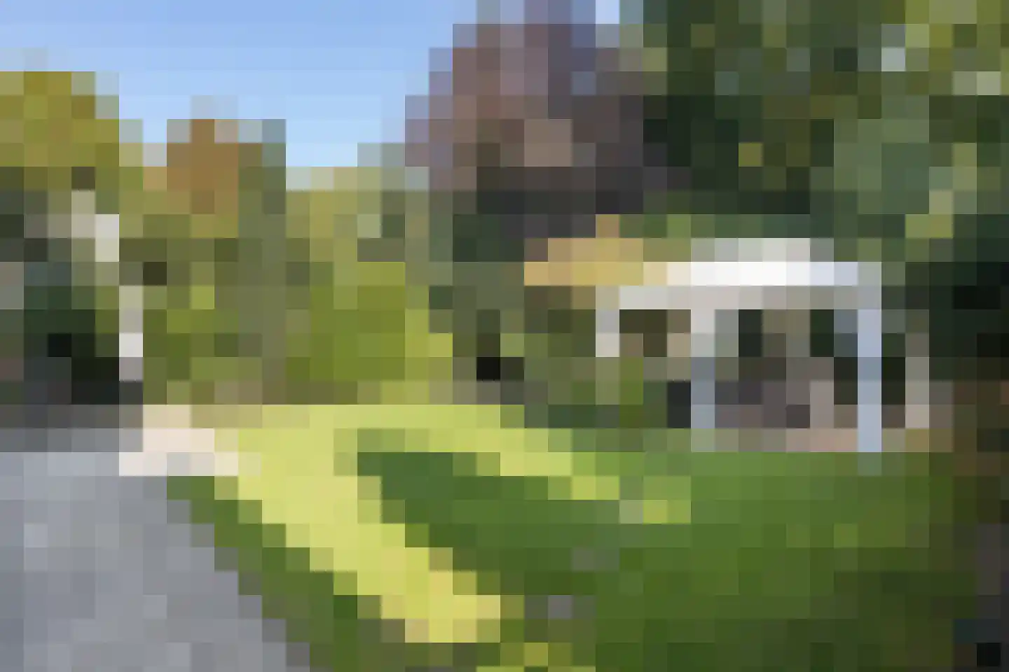 Professor Oudstraat 2 Oss thumbnail 23