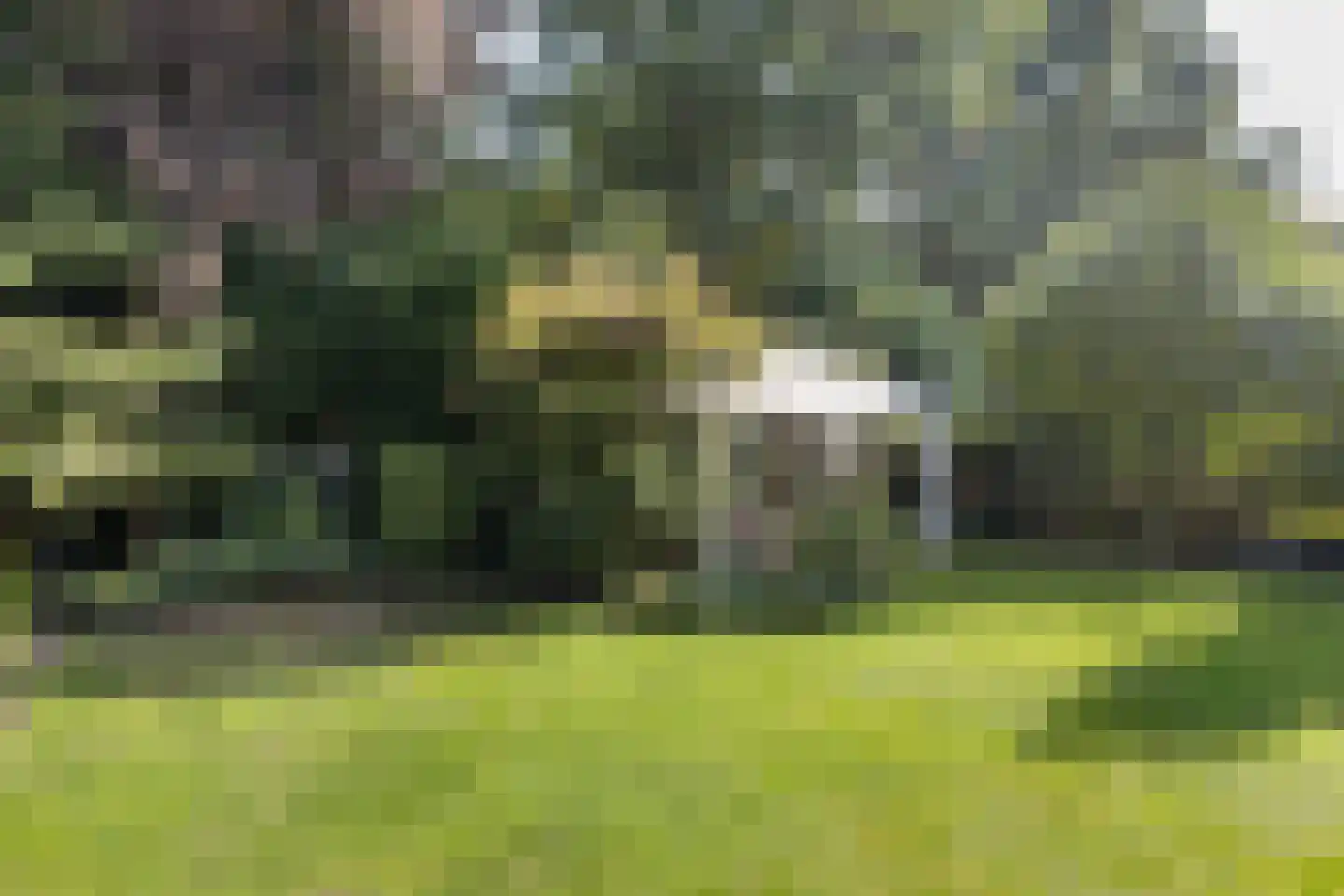 Professor Oudstraat 2 Oss thumbnail 25