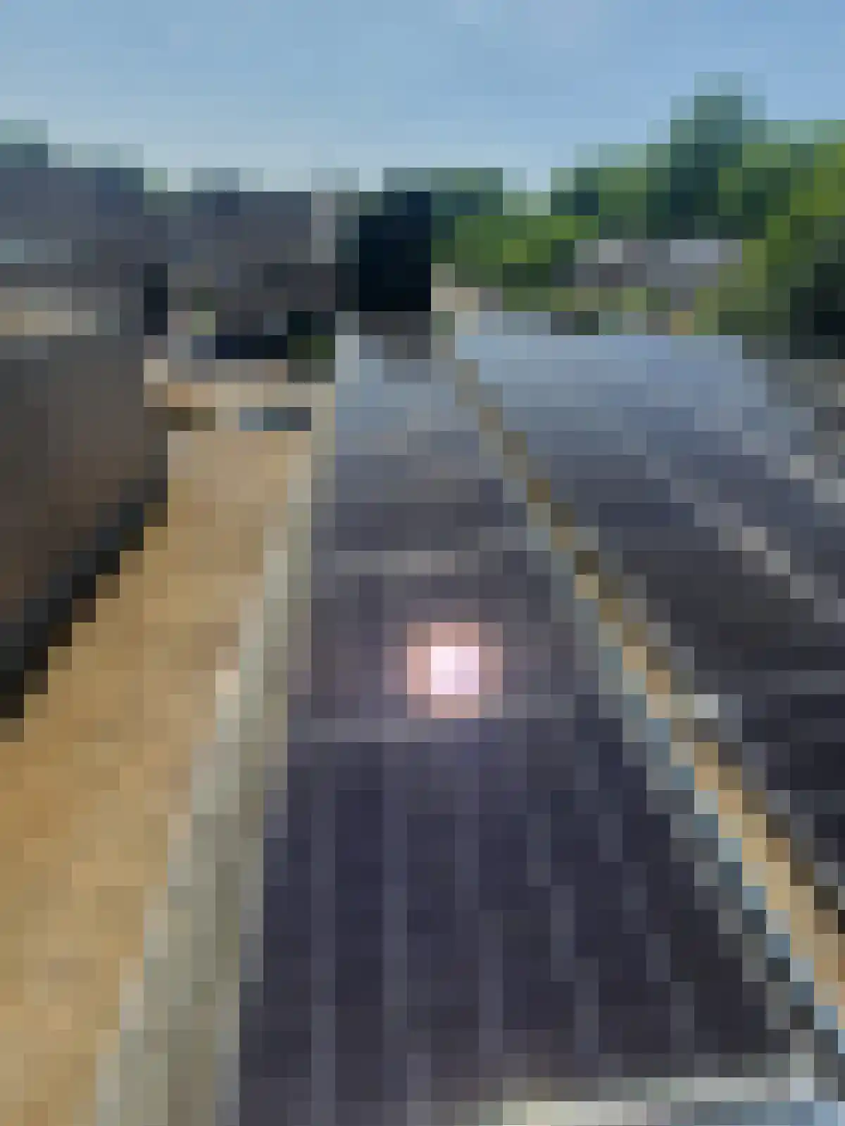 Professor Oudstraat 2 Oss thumbnail 31