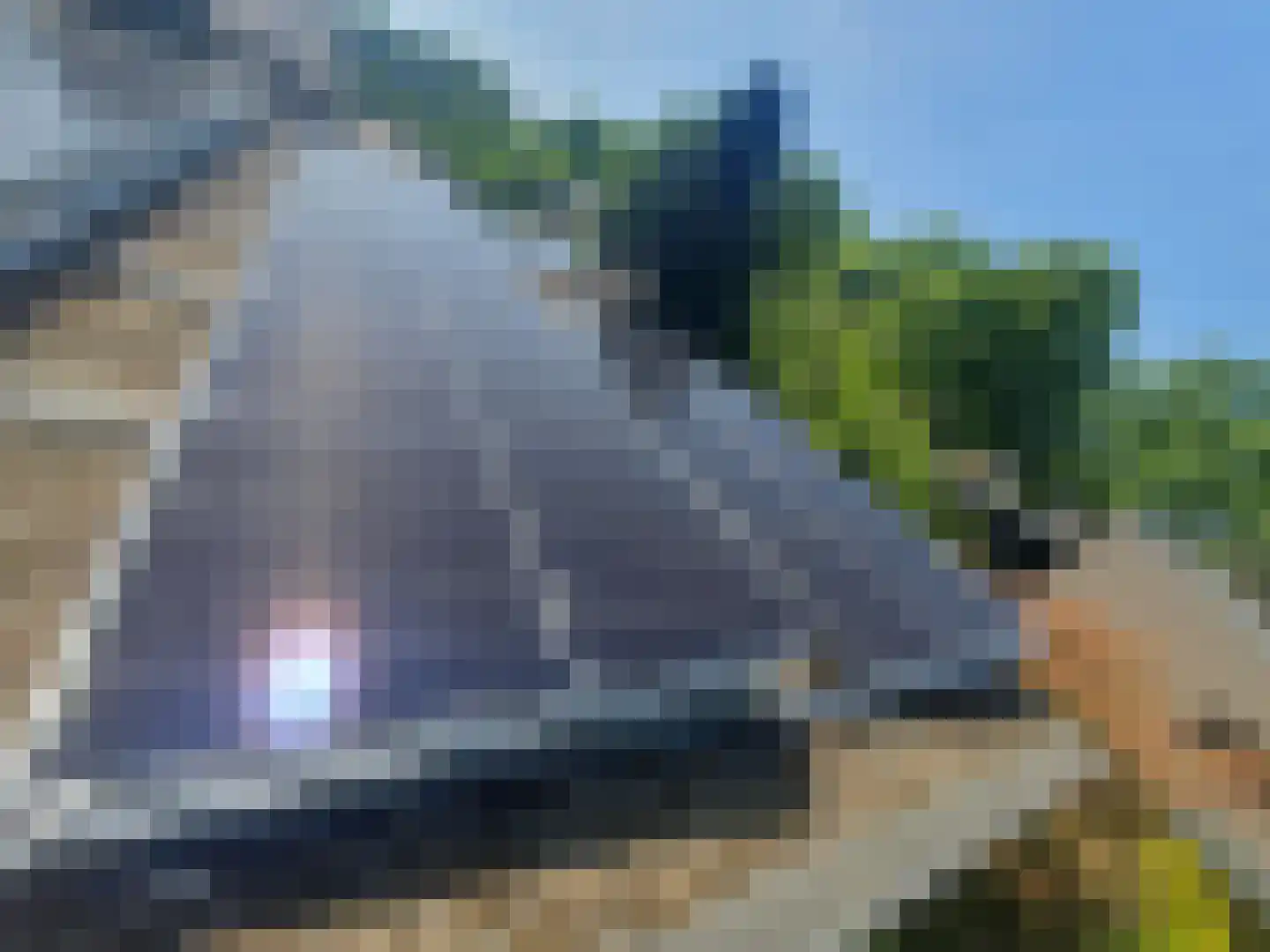 Professor Oudstraat 2 Oss thumbnail 33