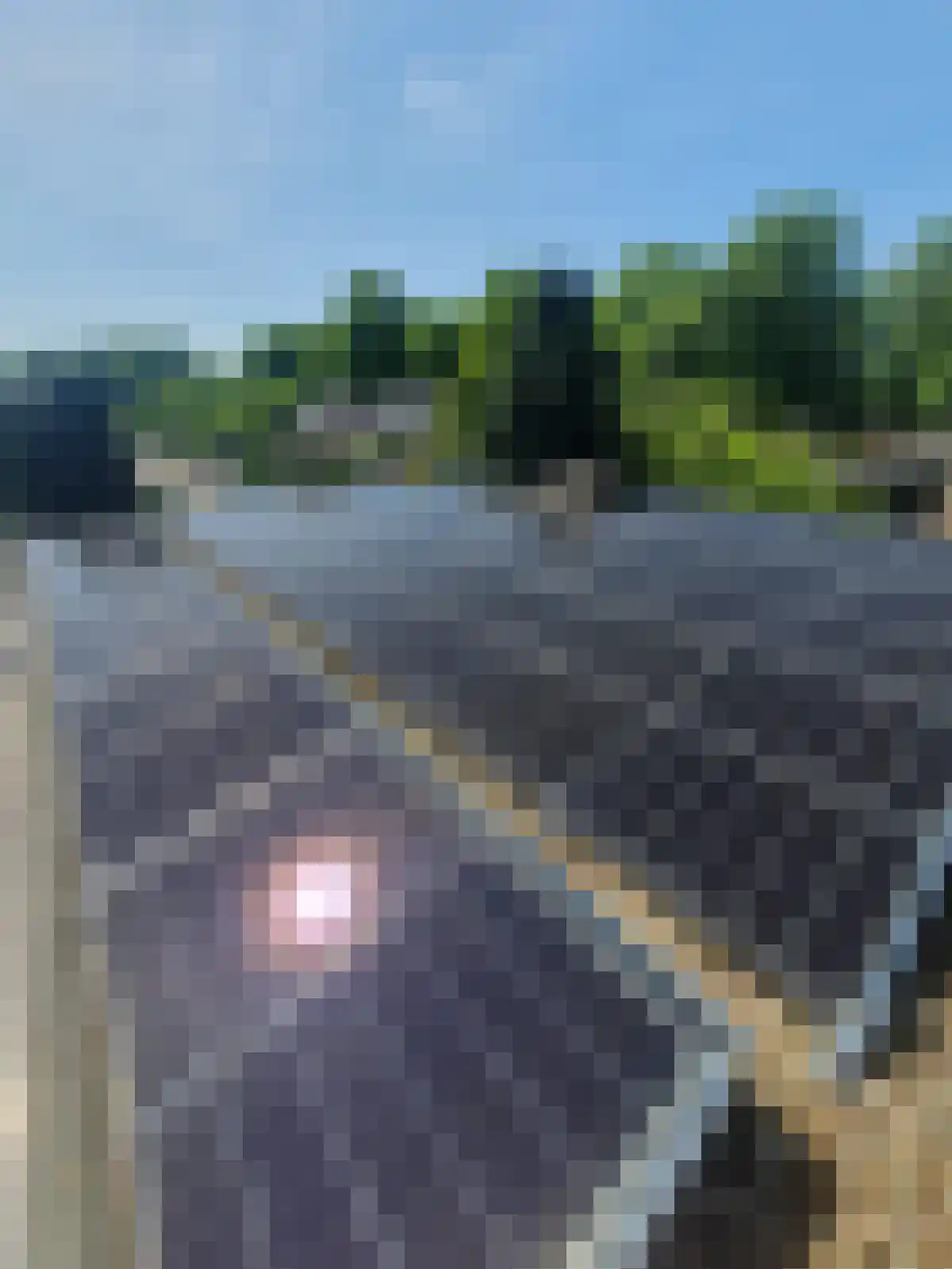 Professor Oudstraat 2 Oss thumbnail 34