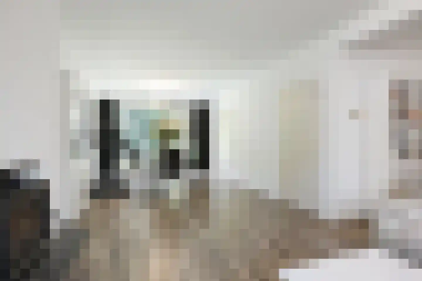 Professor Oudstraat 2 Oss thumbnail 4