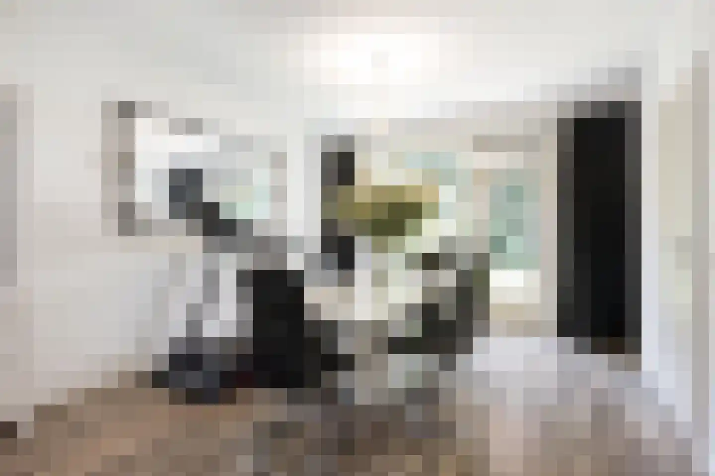 Professor Oudstraat 2 Oss thumbnail 5