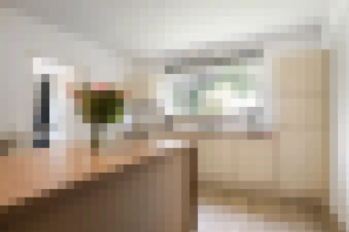 Professor Oudstraat 2 Oss thumbnail 9