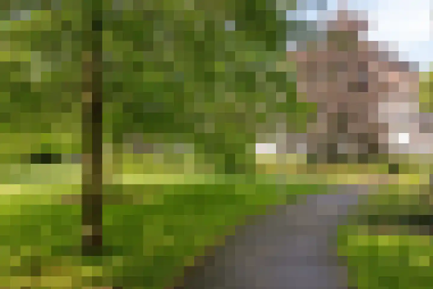 Professor Pieter Willemsstraat 20 B Maastricht thumbnail 35