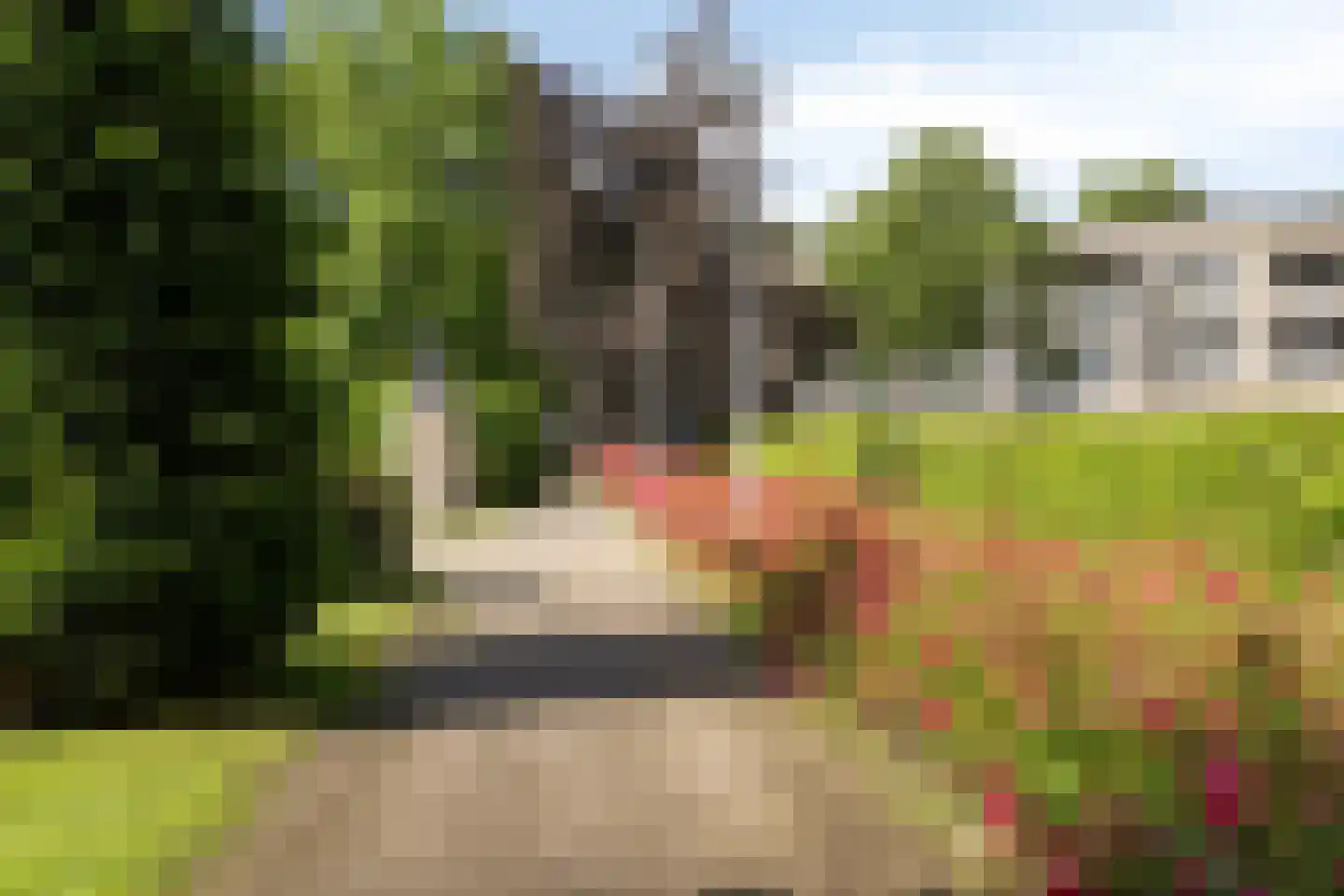 Professor Pieter Willemsstraat 20 B Maastricht thumbnail 36