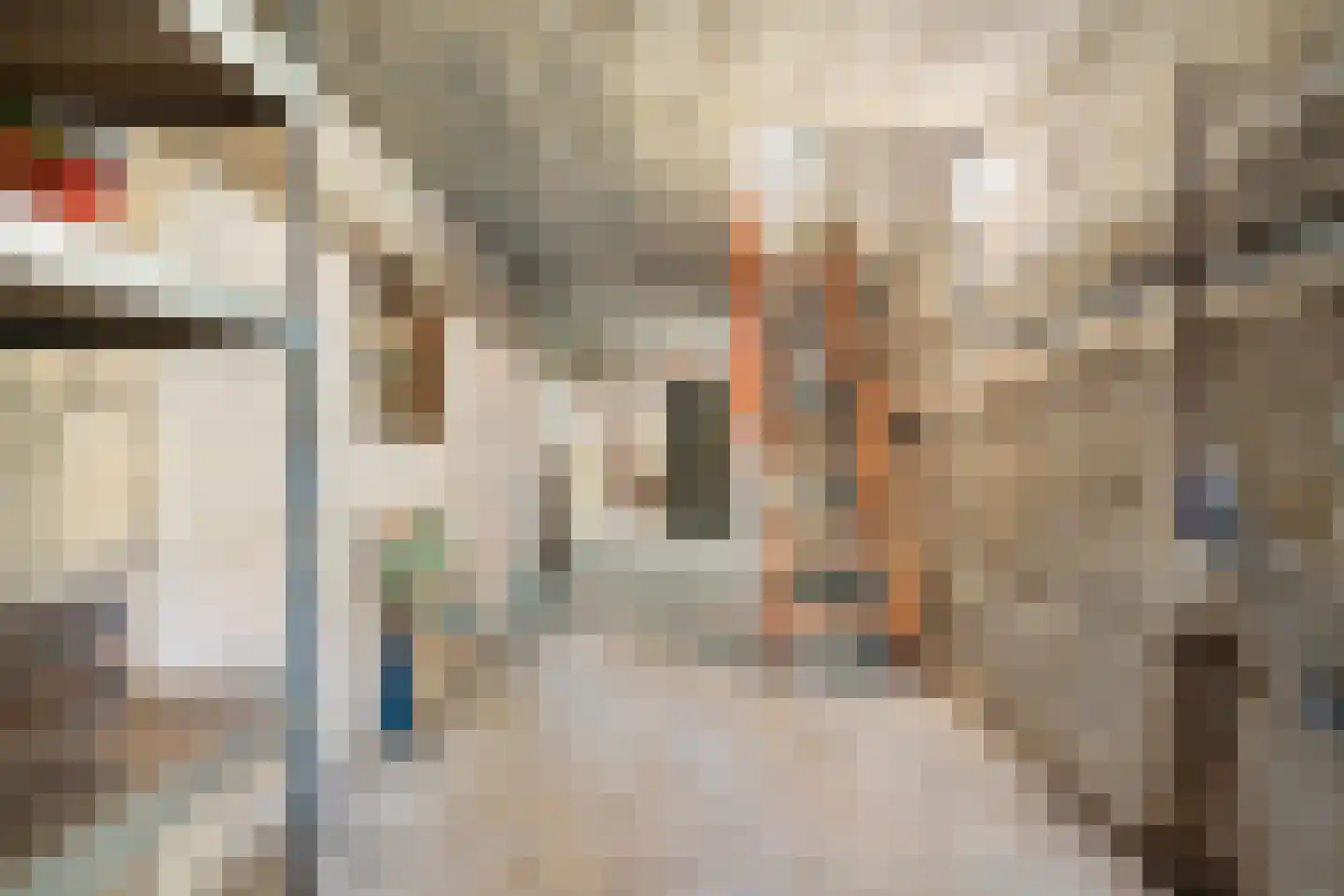 Professor Pieter Willemsstraat 35 Maastricht thumbnail 30