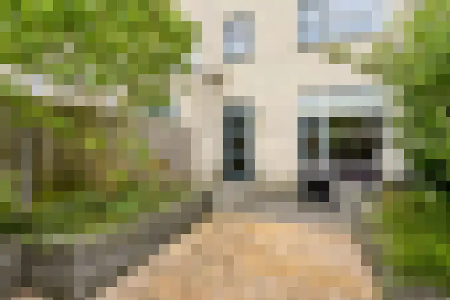 Professor Pigracht 13 Almere thumbnail 58