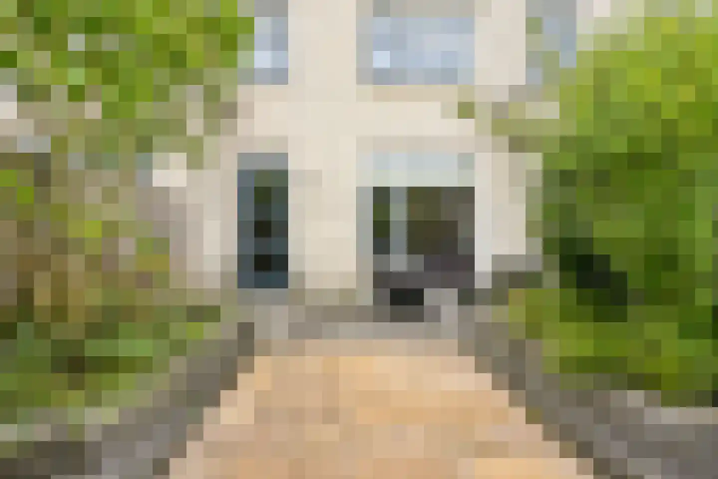 Professor Pigracht 13 Almere thumbnail 59
