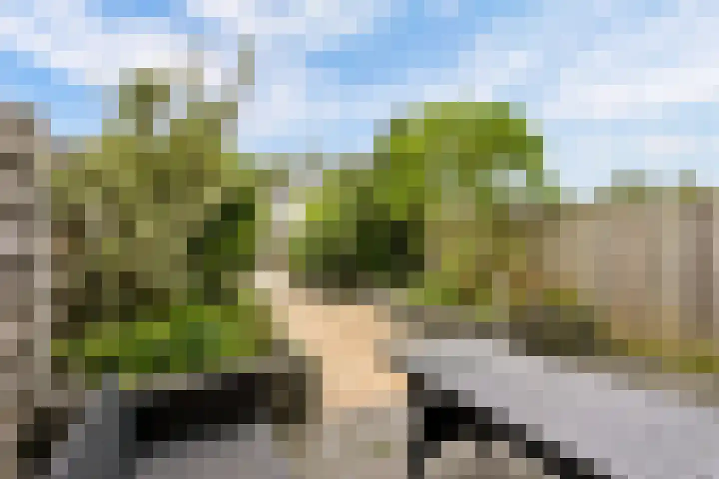 Professor Pigracht 13 Almere thumbnail 6