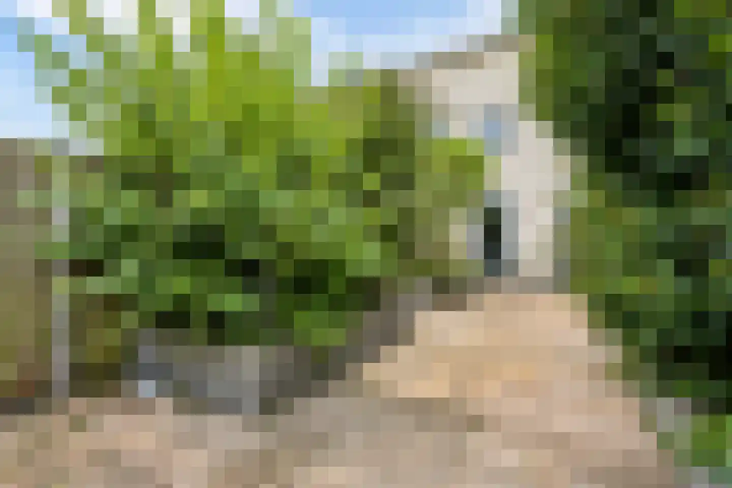 Professor Pigracht 13 Almere thumbnail 60