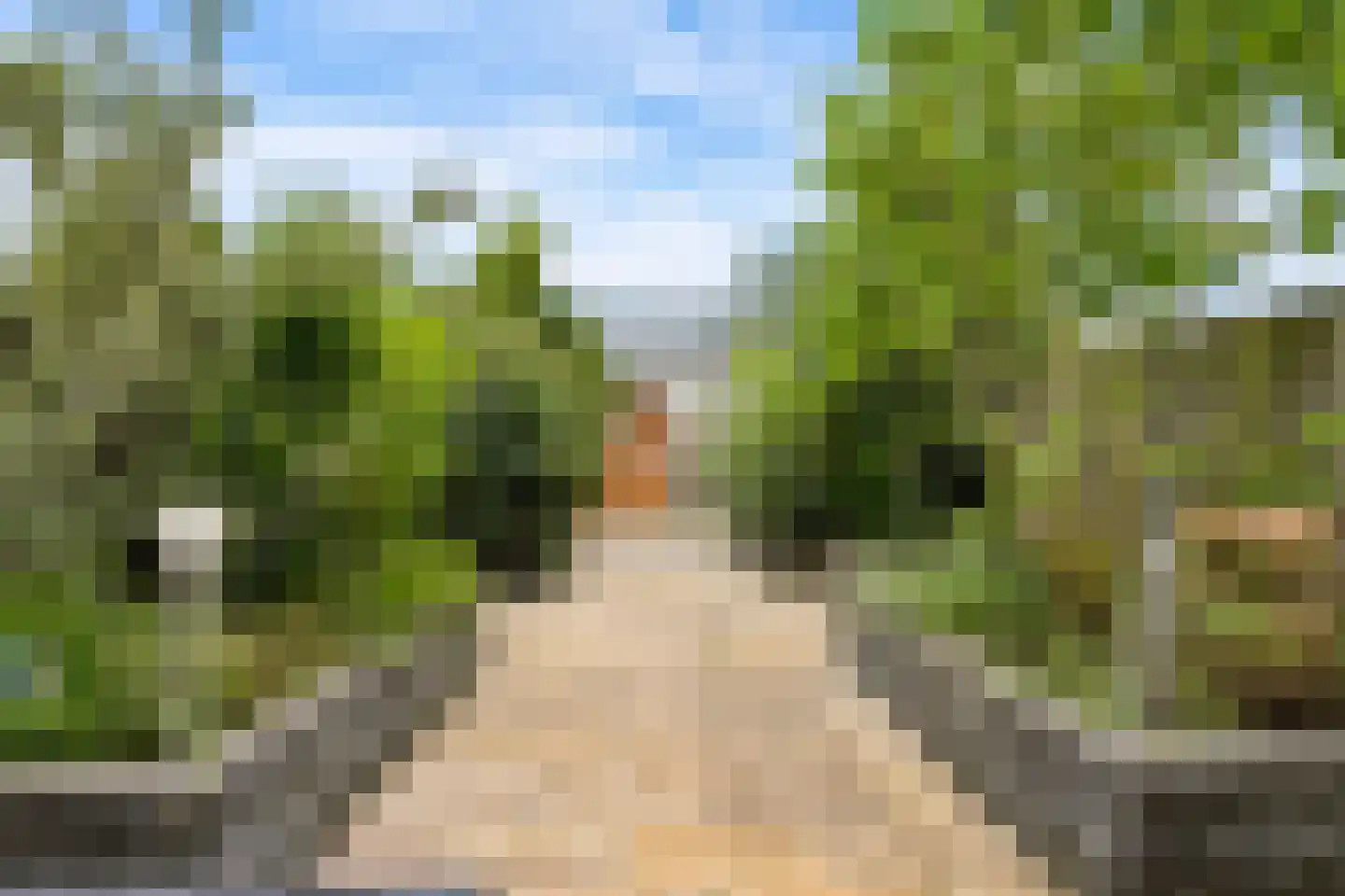 Professor Pigracht 13 Almere thumbnail 64