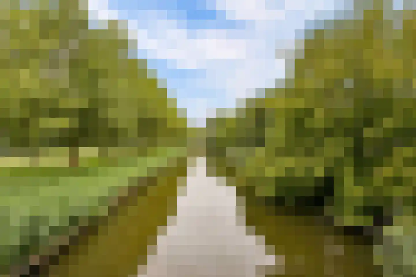 Professor Pigracht 13 Almere thumbnail 76