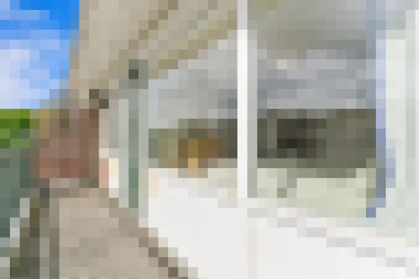Professor Poelslaan 22 C Rotterdam thumbnail 20