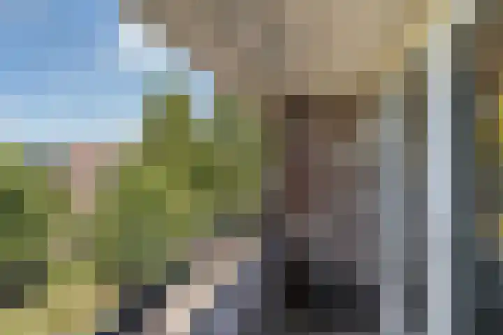 Professor Poelslaan 60 B Rotterdam thumbnail 33