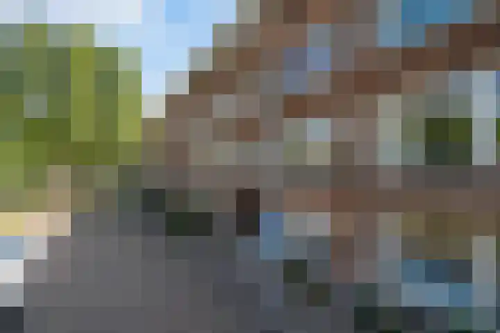 Professor Poelslaan 60 B Rotterdam thumbnail 5
