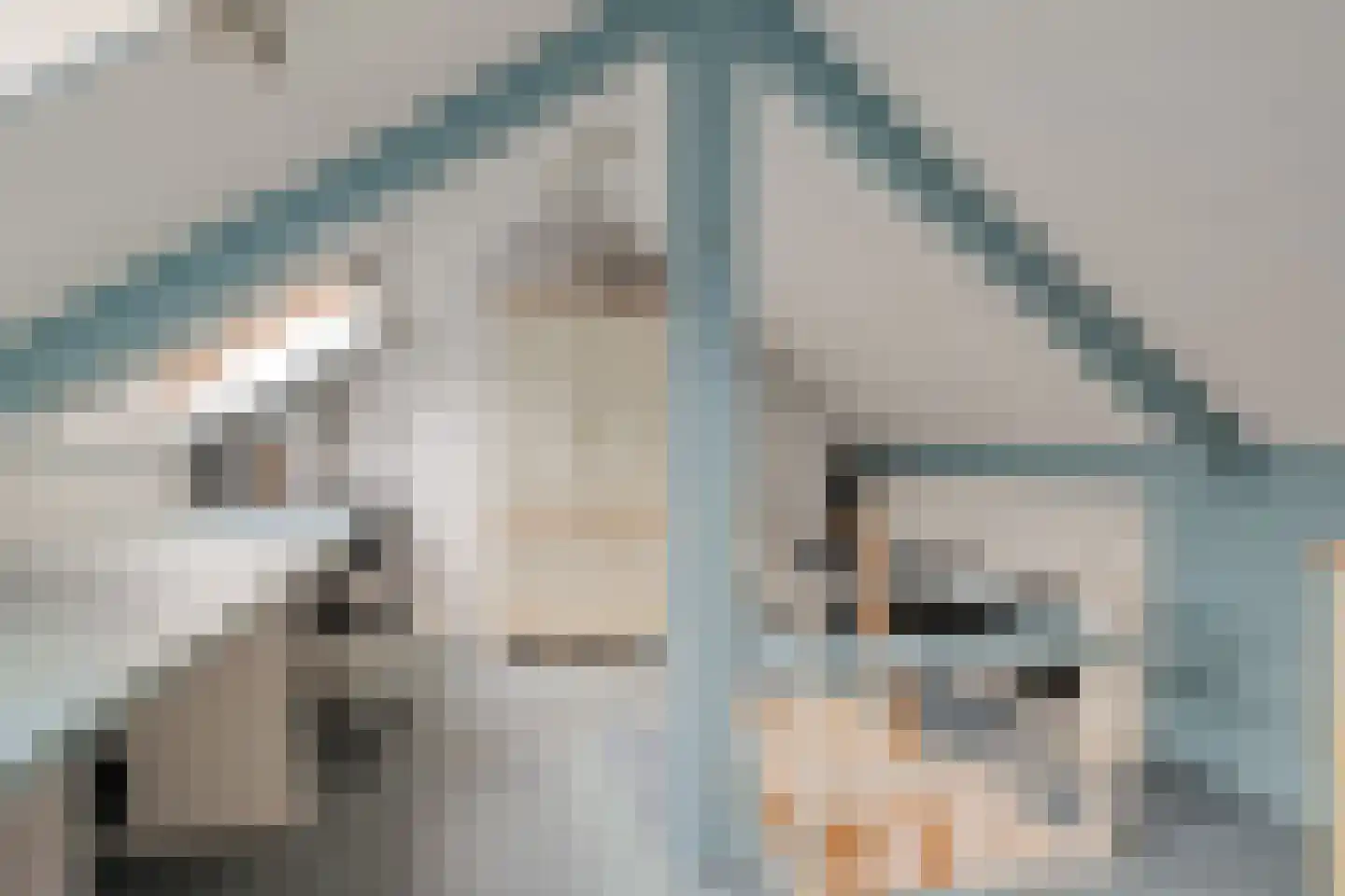 Professor Poelsstraat 12 Hilversum thumbnail 20
