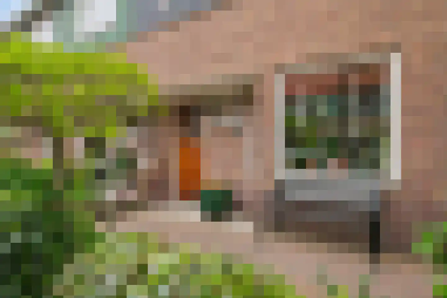Professor Poelsstraat 12 Hilversum thumbnail 29