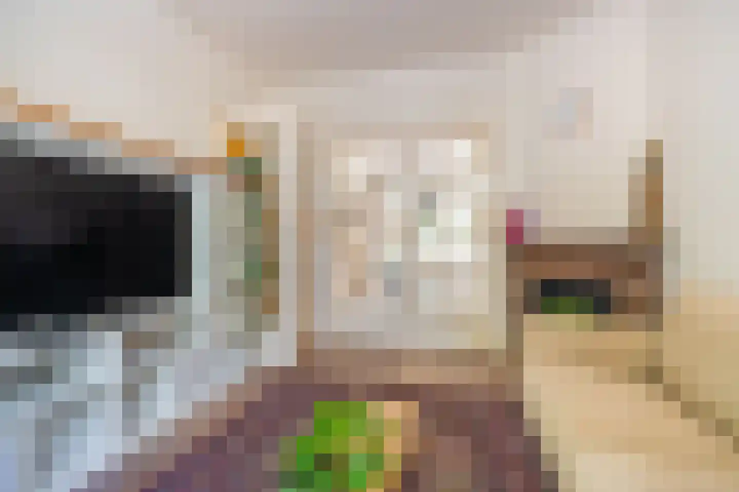 Professor Rankestraat 16 a Groningen thumbnail 23