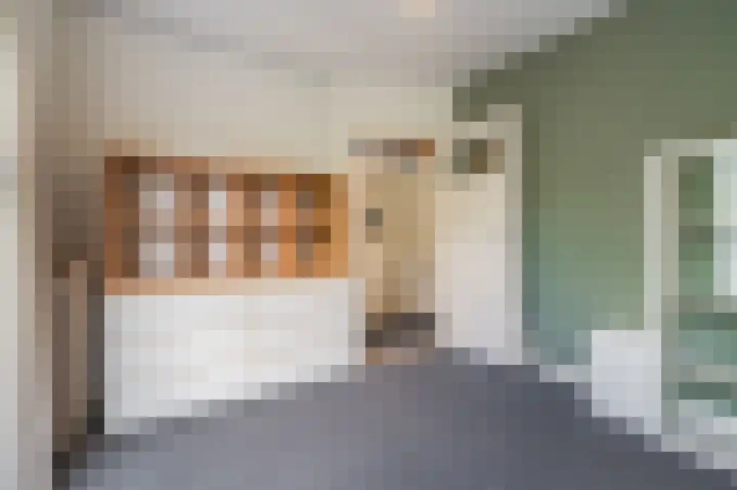 Professor Rankestraat 16 a Groningen thumbnail 34