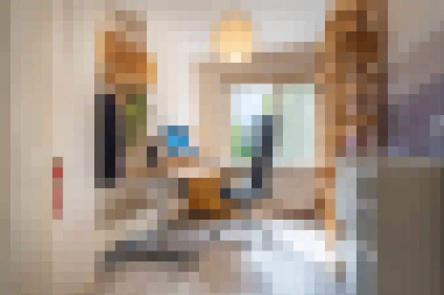 Professor Rankestraat 16 a Groningen thumbnail 35