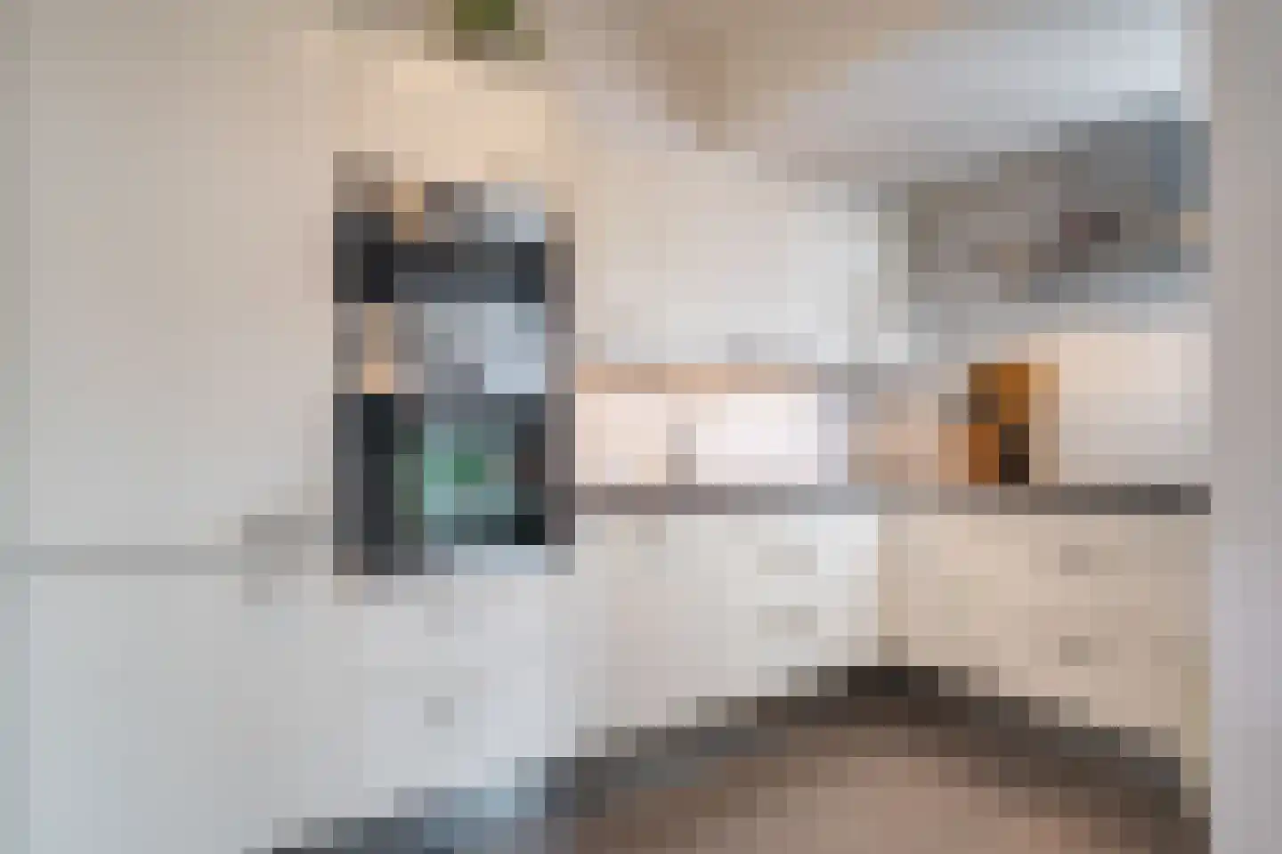 Professor Rankestraat 16 a Groningen thumbnail 5