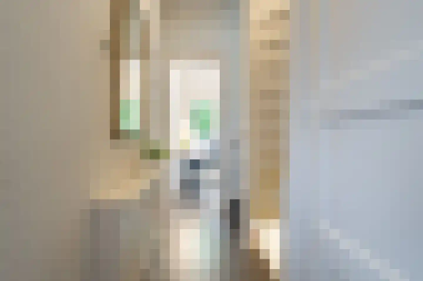 Professor Rankestraat 16 a Groningen thumbnail 8