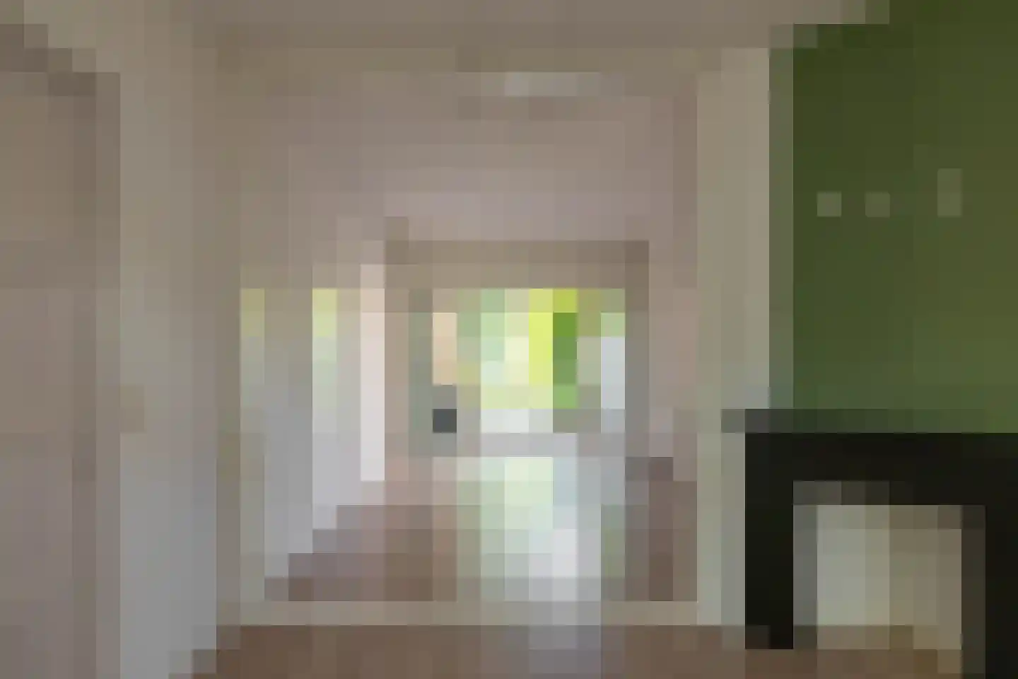 Professor Rankestraat 16 Groningen thumbnail 10
