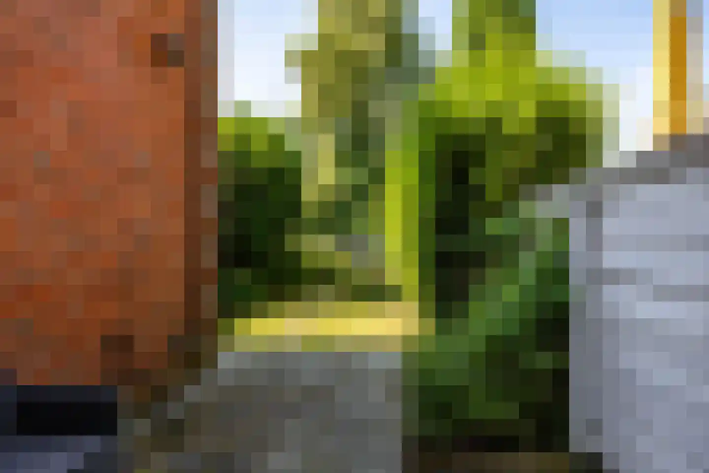 Professor Rankestraat 16 Groningen thumbnail 15