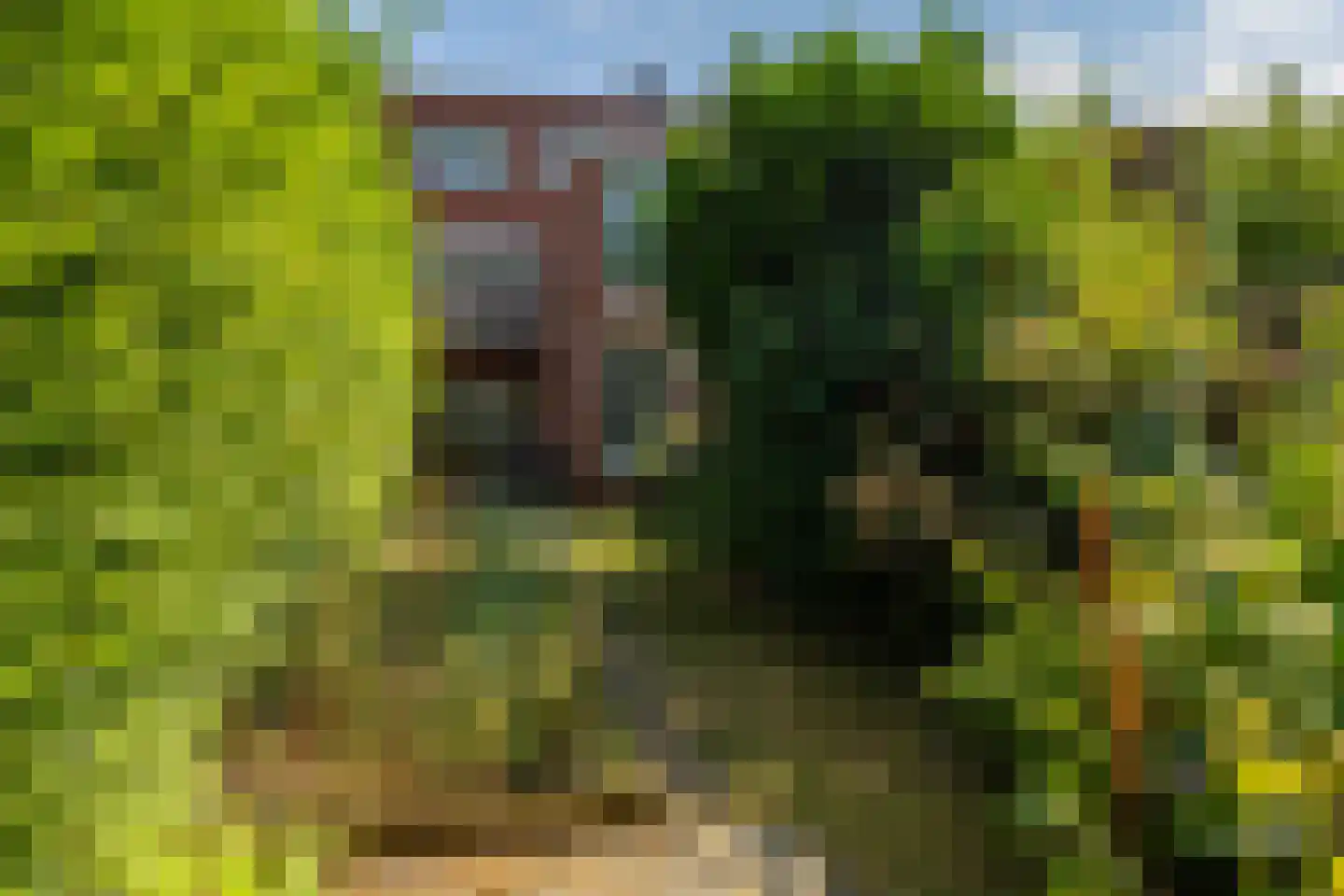 Professor Rankestraat 16 Groningen thumbnail 18