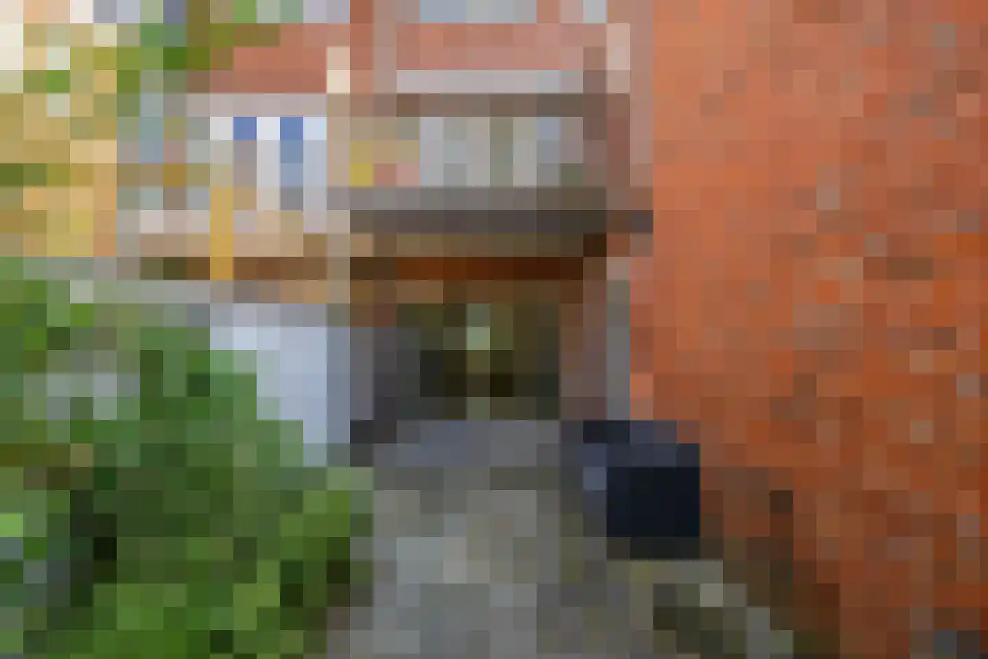 Professor Rankestraat 16 Groningen thumbnail 20