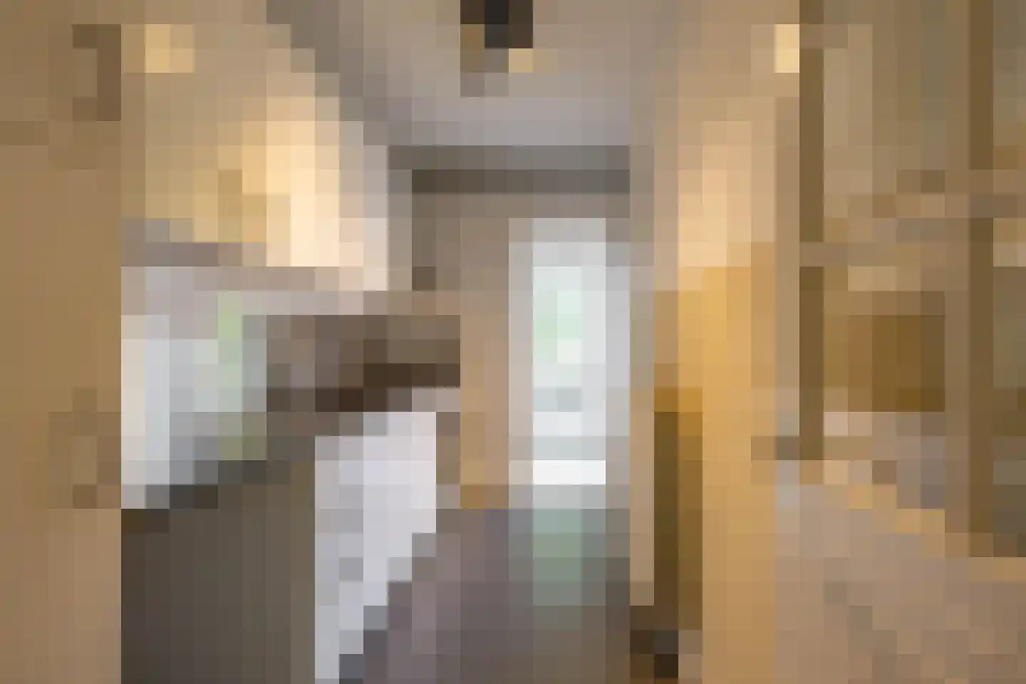 Professor Rankestraat 16 Groningen thumbnail 4
