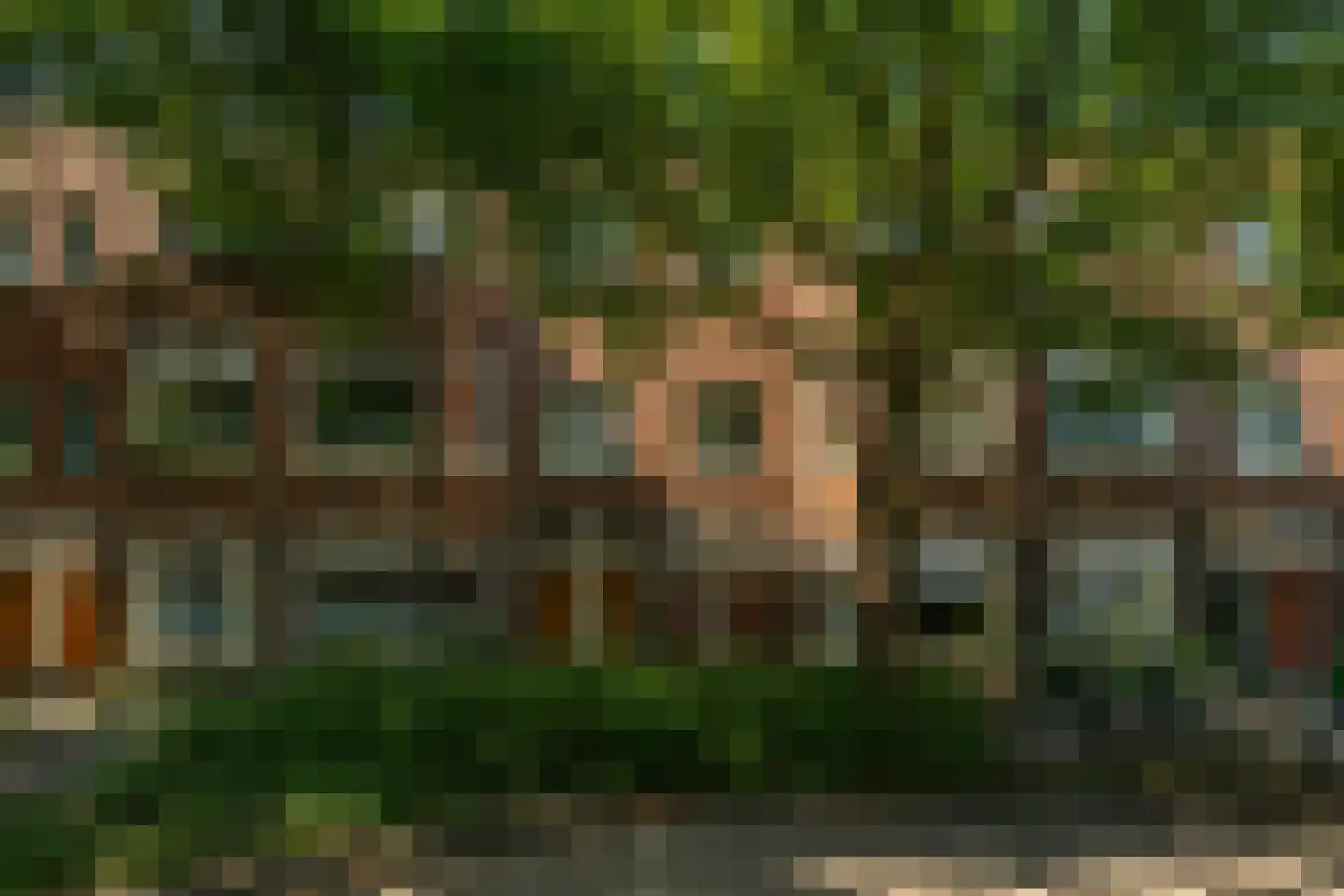 Professor Rankestraat 16 Groningen thumbnail 5