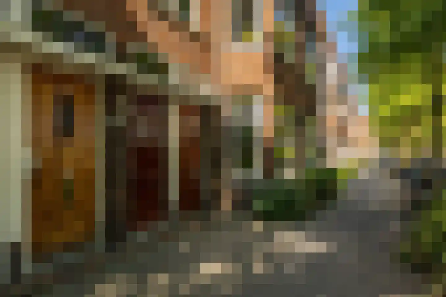 Professor Rankestraat 16 Groningen thumbnail 7